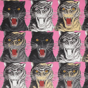 Meet your Posher, Joann